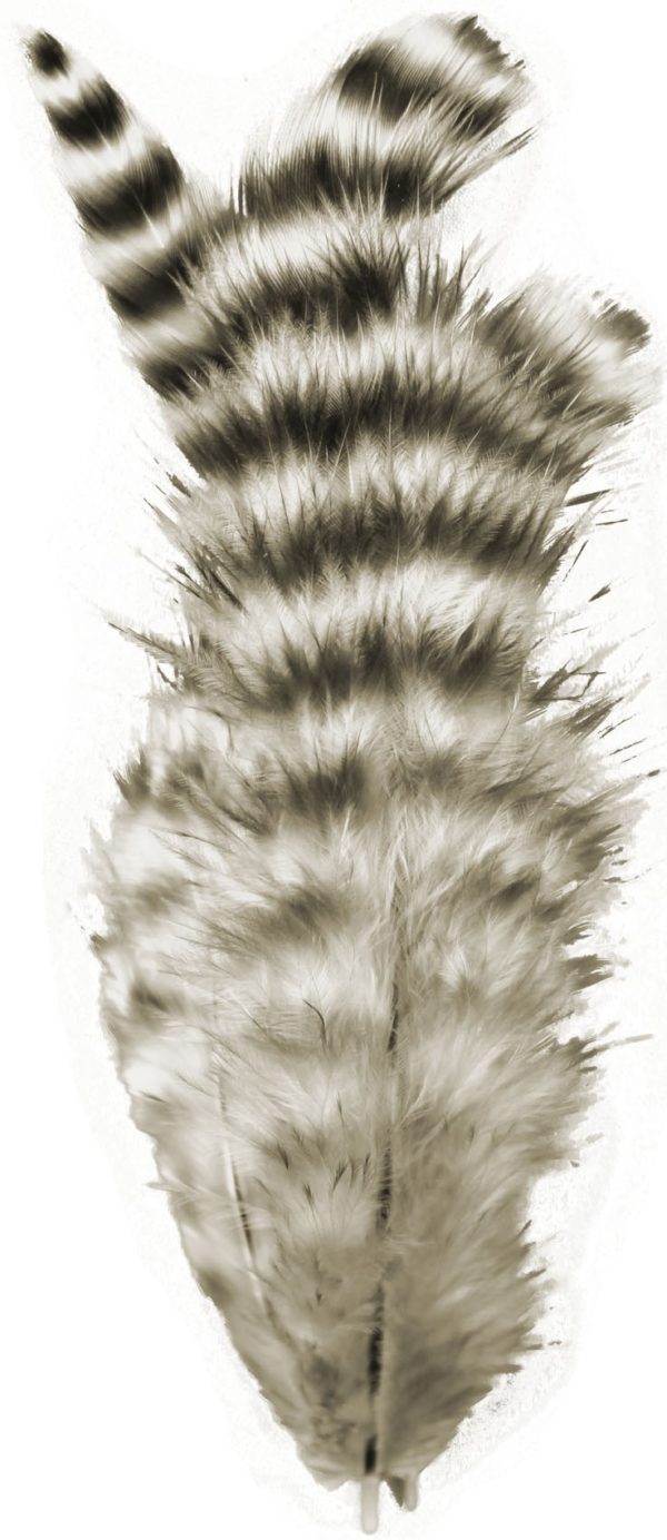 Soft Hackle UV2 Grizzly