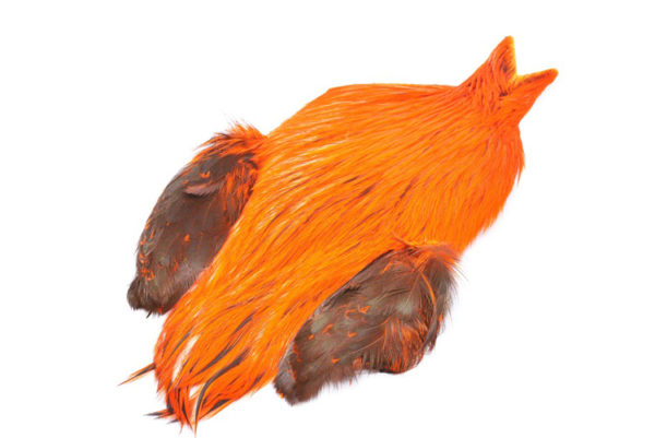 FutureFly Rooster Cape