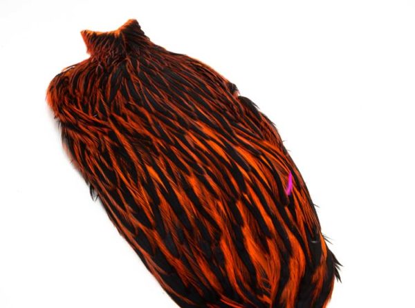 Whiting American Hen Cape BLW