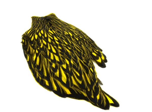 Whiting American Hen Cape BLW