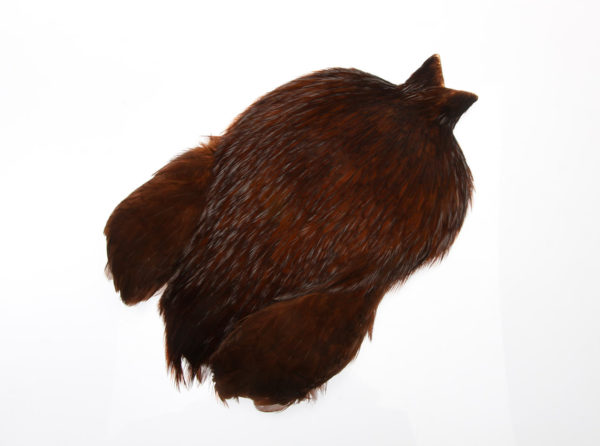 FutureFly Rooster Cape Brown
